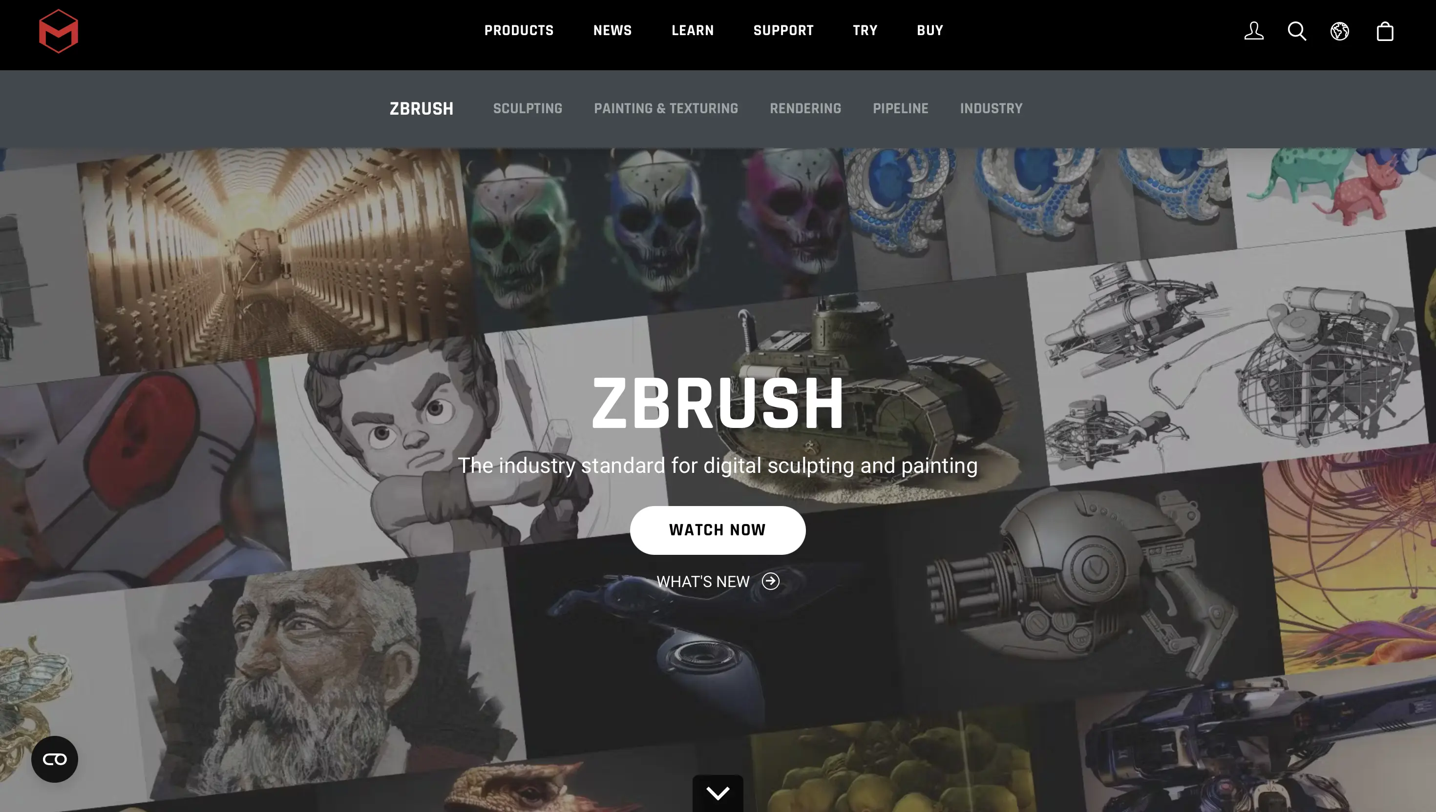 zbrush.webp