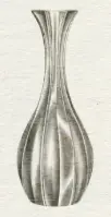pencil sketch of a flower vase